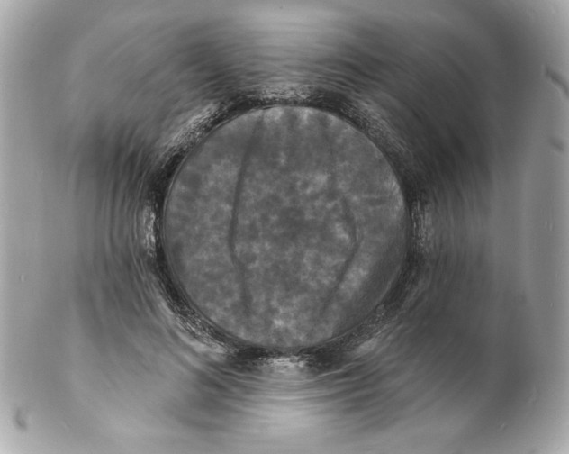 X0000102230692200808151730