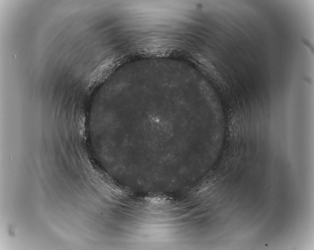 X0000102230693200808151730