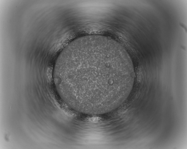 X0000102230695200808151730