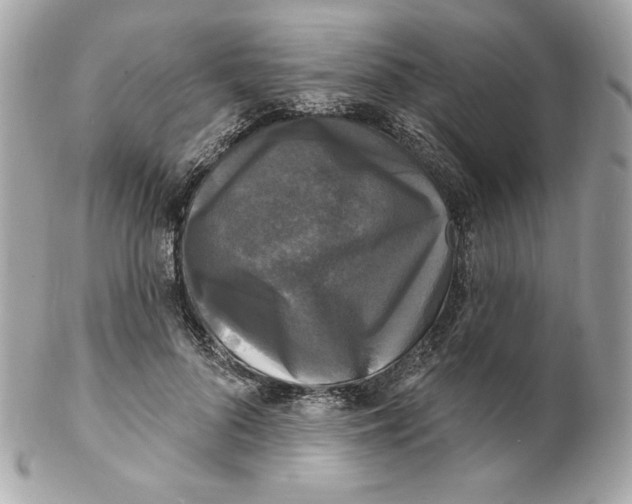 X0000102230696200808151730