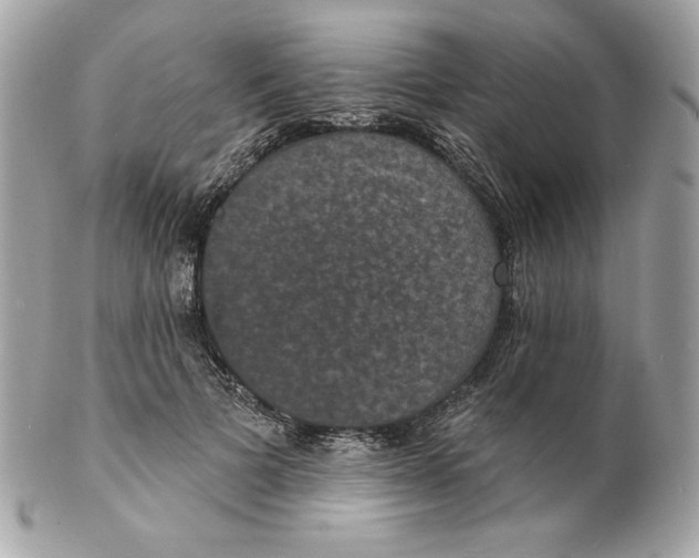 X0000102230697200808151730