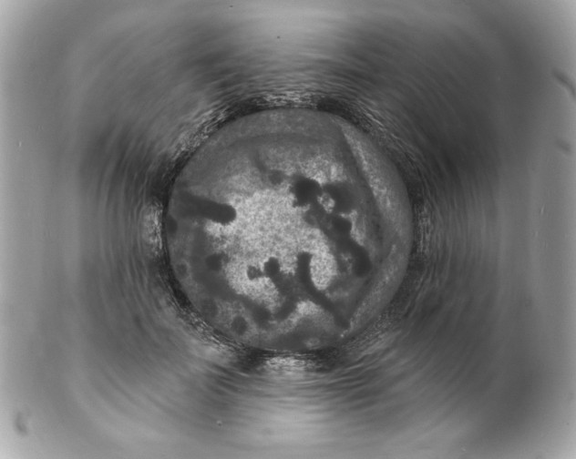 X0000102230699200808151730