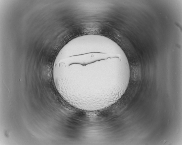 X0000102230701200808151730