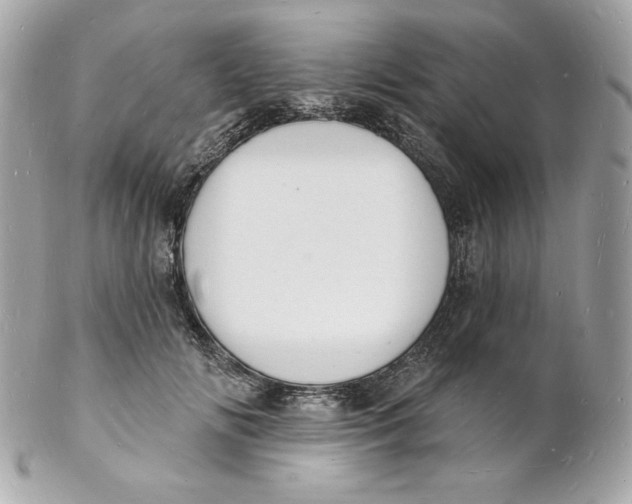 X0000102230702200808151730
