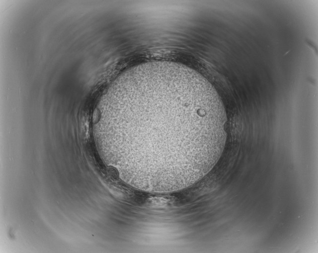 X0000102230703200808151730