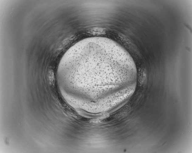 X0000102230704200808151730