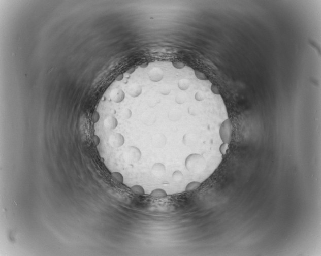 X0000102230705200808151730