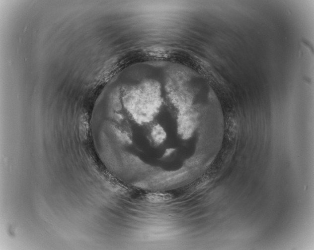 X0000102230707200808151730