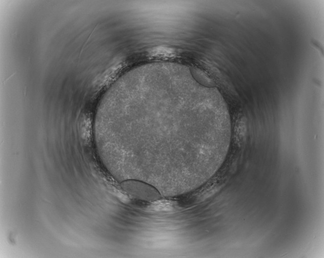 X0000102230708200808151730