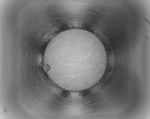 X0000102230709200808151730