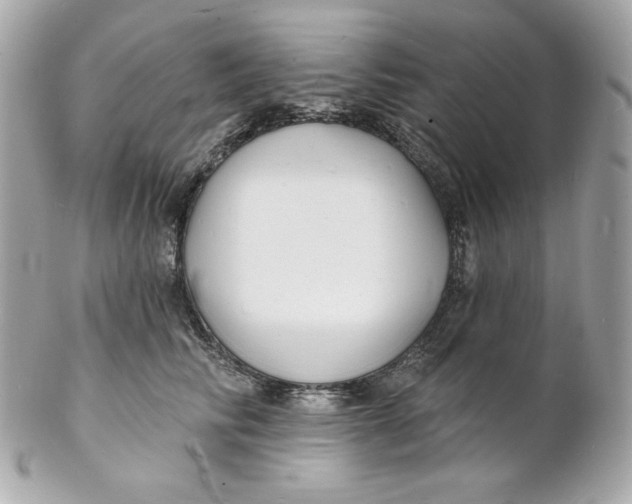 X0000102230710200808151730
