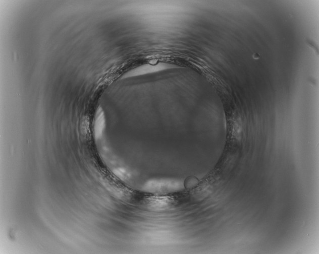 X0000102230711200808151730
