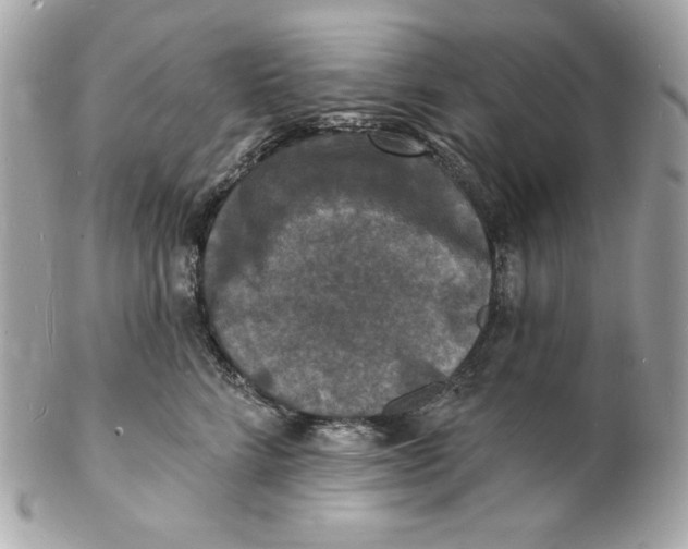 X0000102230712200808151730