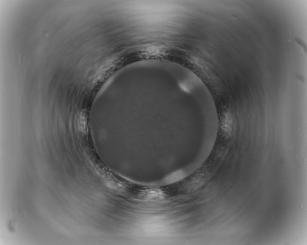 X0000102230715200808151730