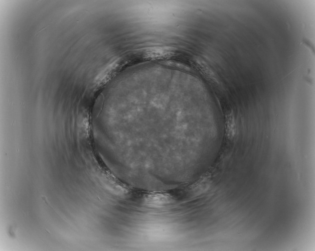 X0000102230716200808151730