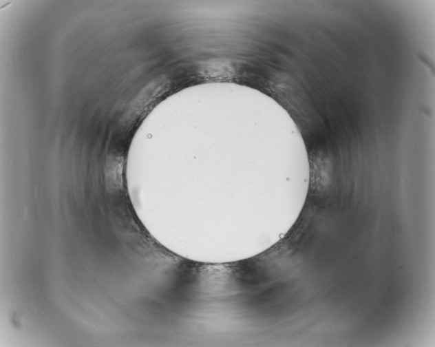 X0000102230717200808151730