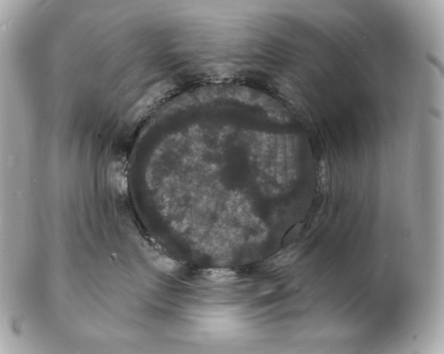 X0000102230719200808151730