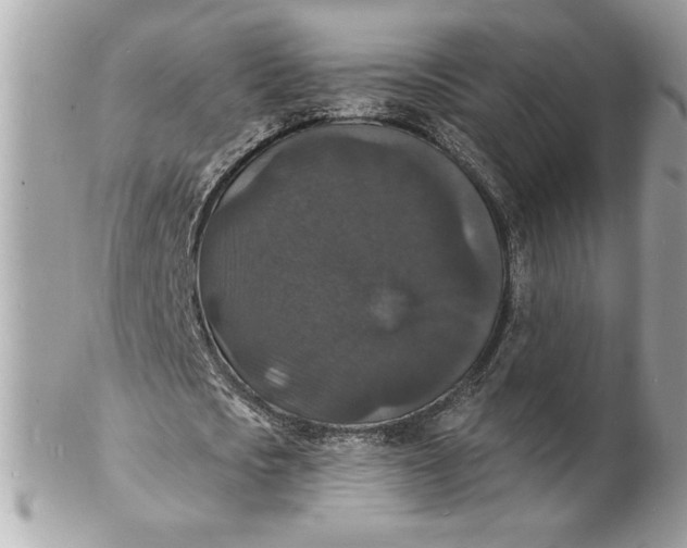 X0000102230721200808151729