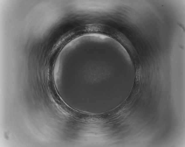 X0000102230722200808151729