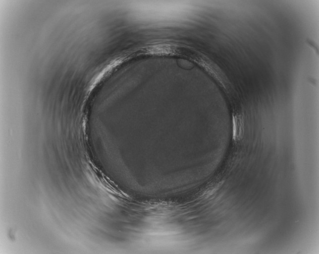 X0000102230723200808151729