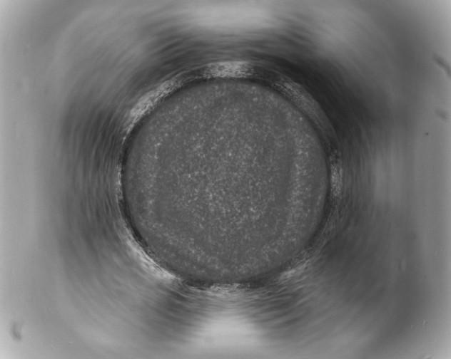 X0000102230725200808151729