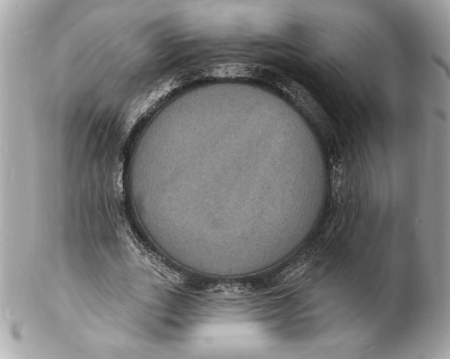 X0000102230727200808151729