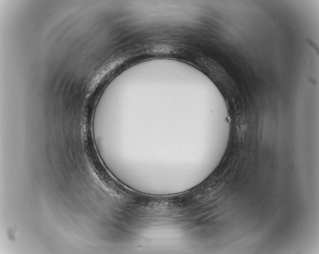 X0000102230728200808151729