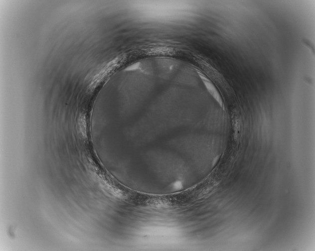 X0000102230729200808151729