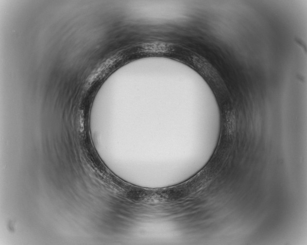X0000102230731200808151729