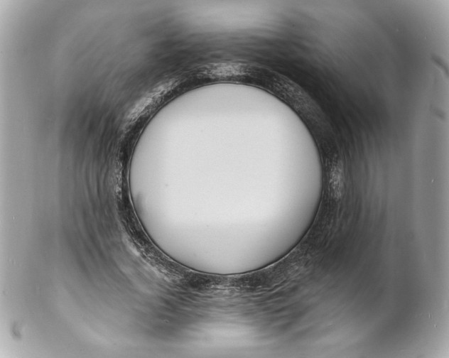 X0000102230732200808151729
