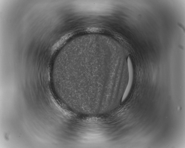 X0000102230734200808151729