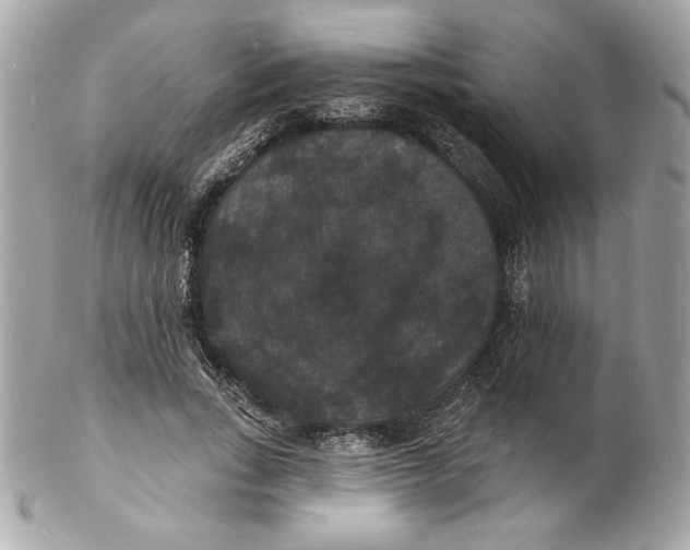 X0000102230735200808151729