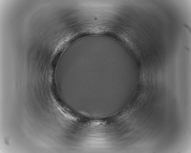X0000102230736200808151729