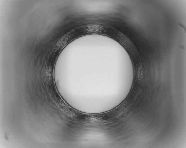 X0000102230737200808151729