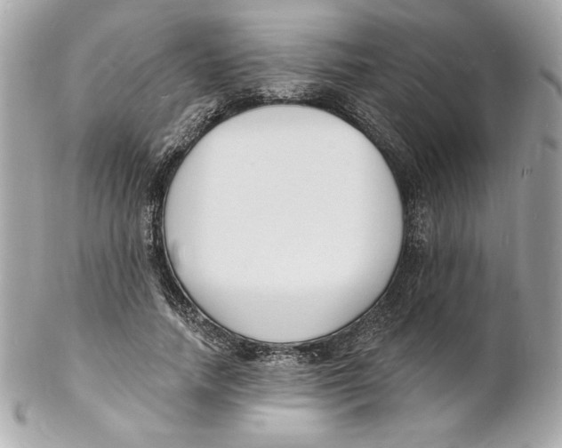 X0000102230738200808151729