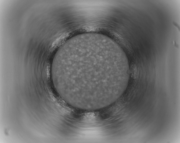 X0000102230740200808151729