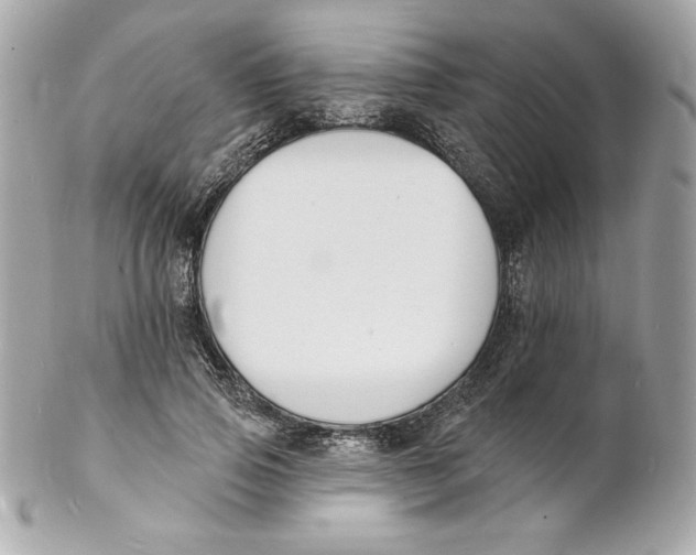 X0000102230741200808151729