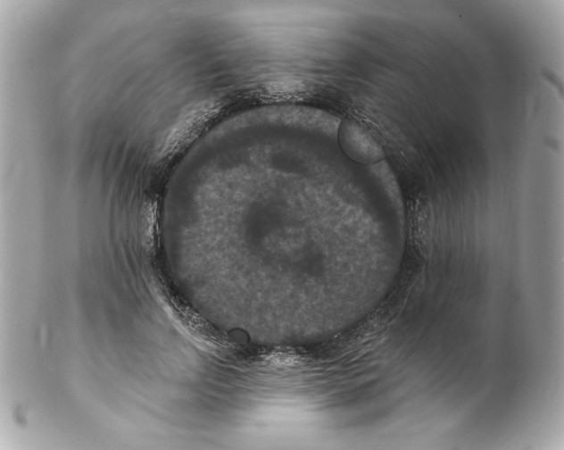 X0000102230742200808151729
