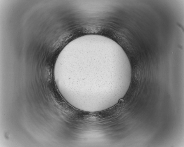 X0000102230743200808151729