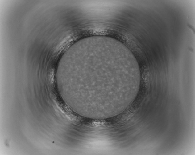X0000102230744200808151729