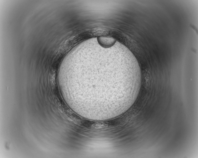 X0000102230745200808151729