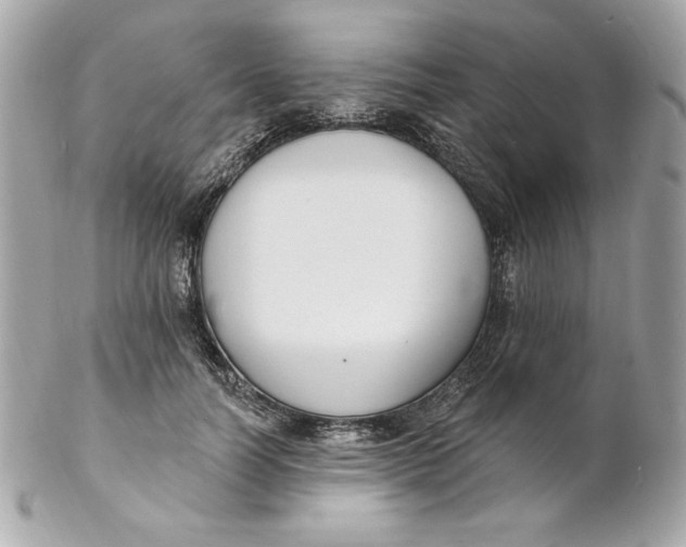 X0000102230746200808151729