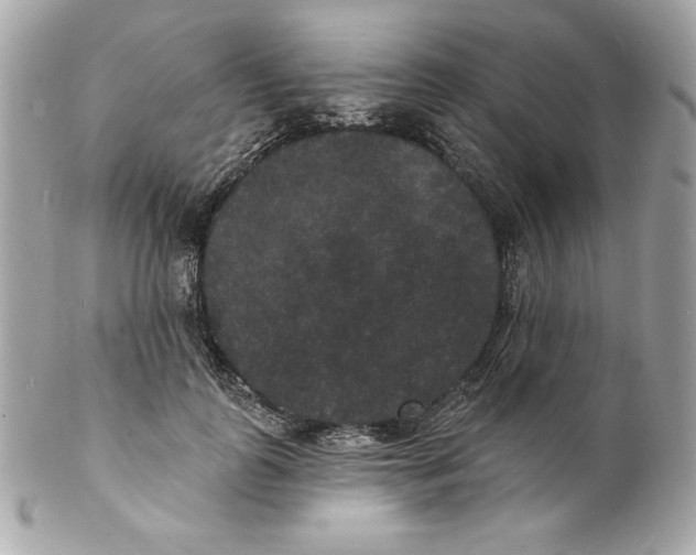 X0000102230747200808151729