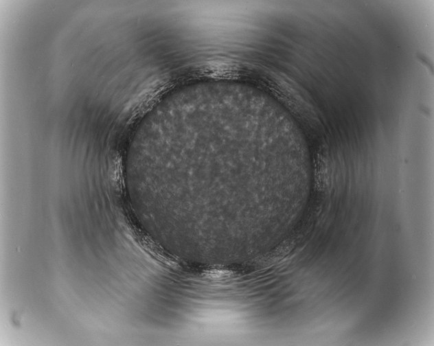 X0000102230748200808151729