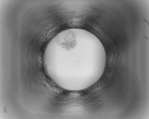 X0000102230749200808151729