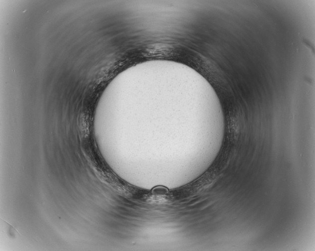X0000102230751200808151729