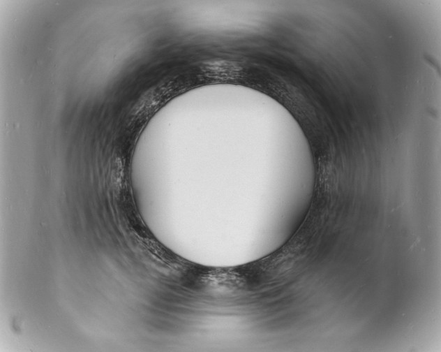 X0000102230752200808151729