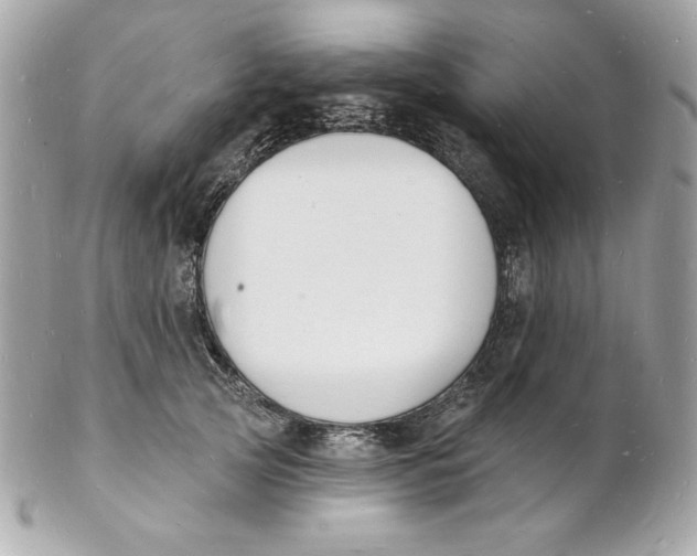 X0000102230753200808151729