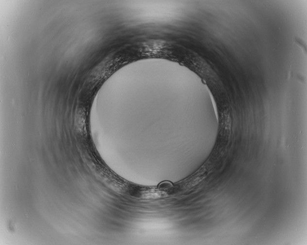 X0000102230754200808151729