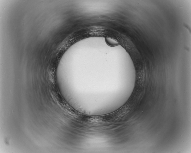 X0000102230755200808151729